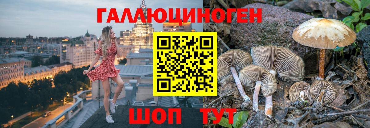 Бердск  Псилоцибиновые грибы MAGIC MUSHROOMS  Псилоцибиновые грибы прущие грибы  Вход с VPN 