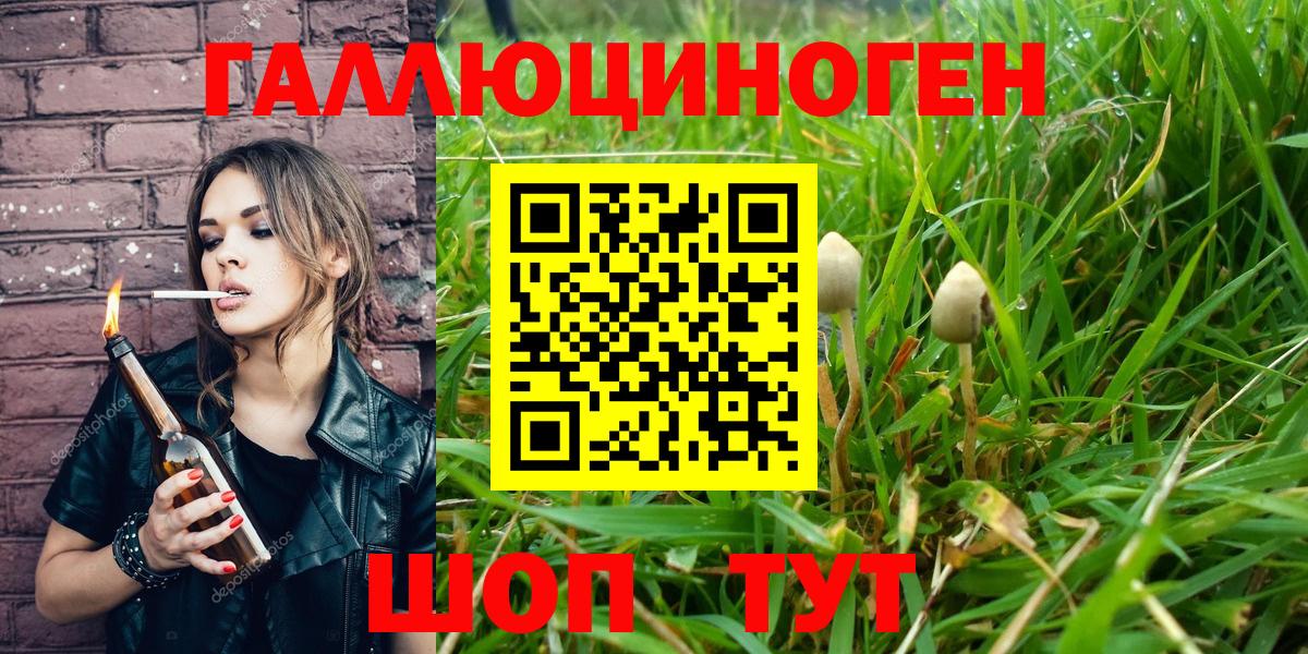Псилоцибиновые грибы GOLDEN TEACHER Бердск